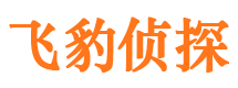 滨海新区市婚外情调查